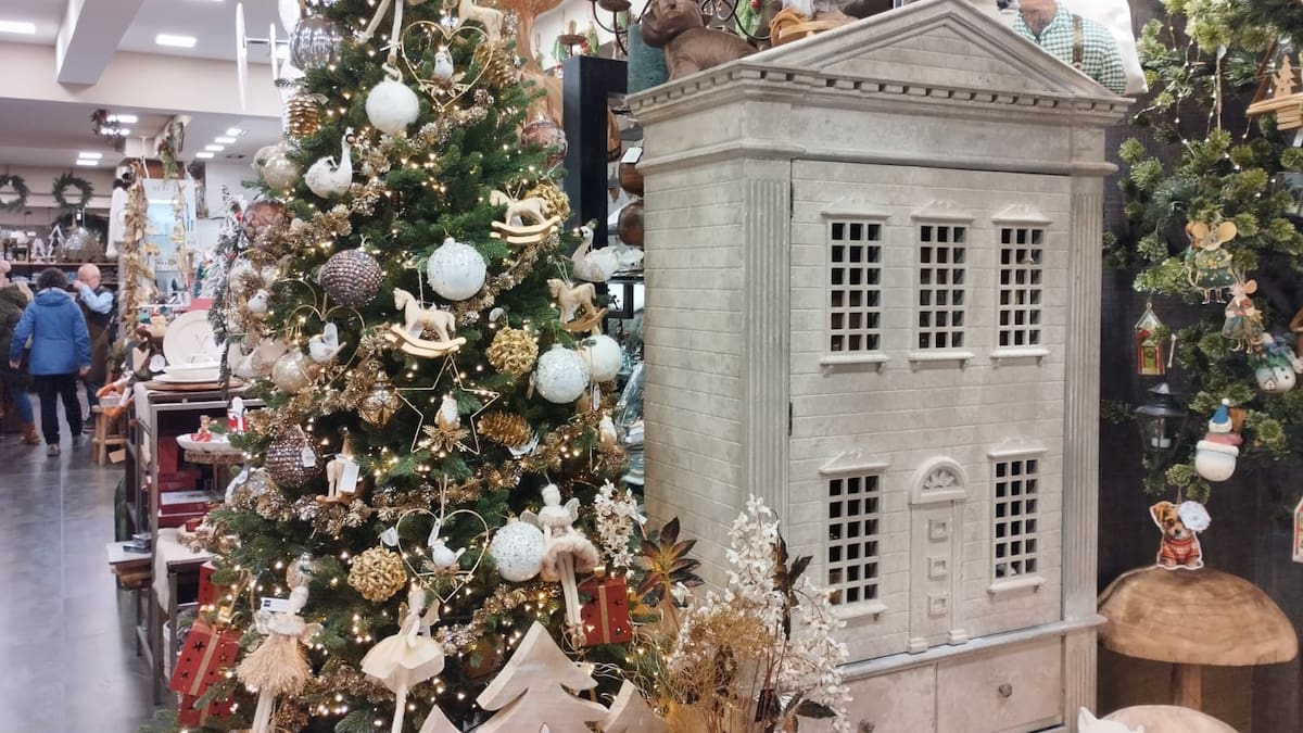 Medio siglo de excelencia