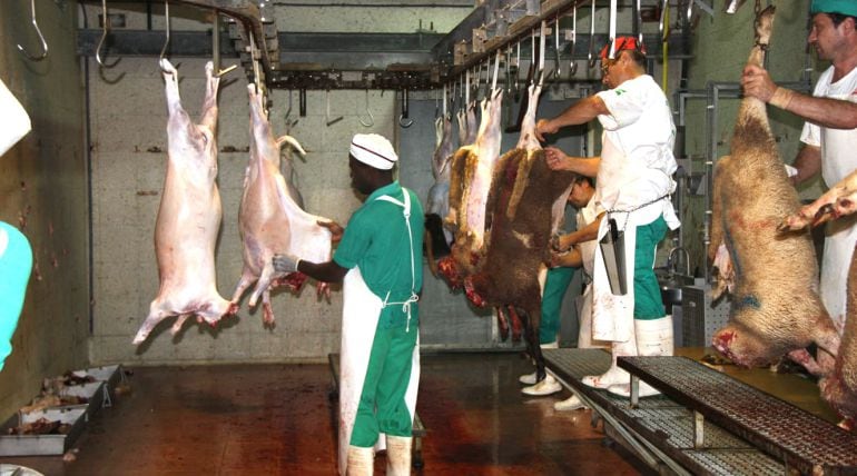 El sector carni, el del transports i l'hostaleria són dels que més contracten falsos autònoms segons UGT.