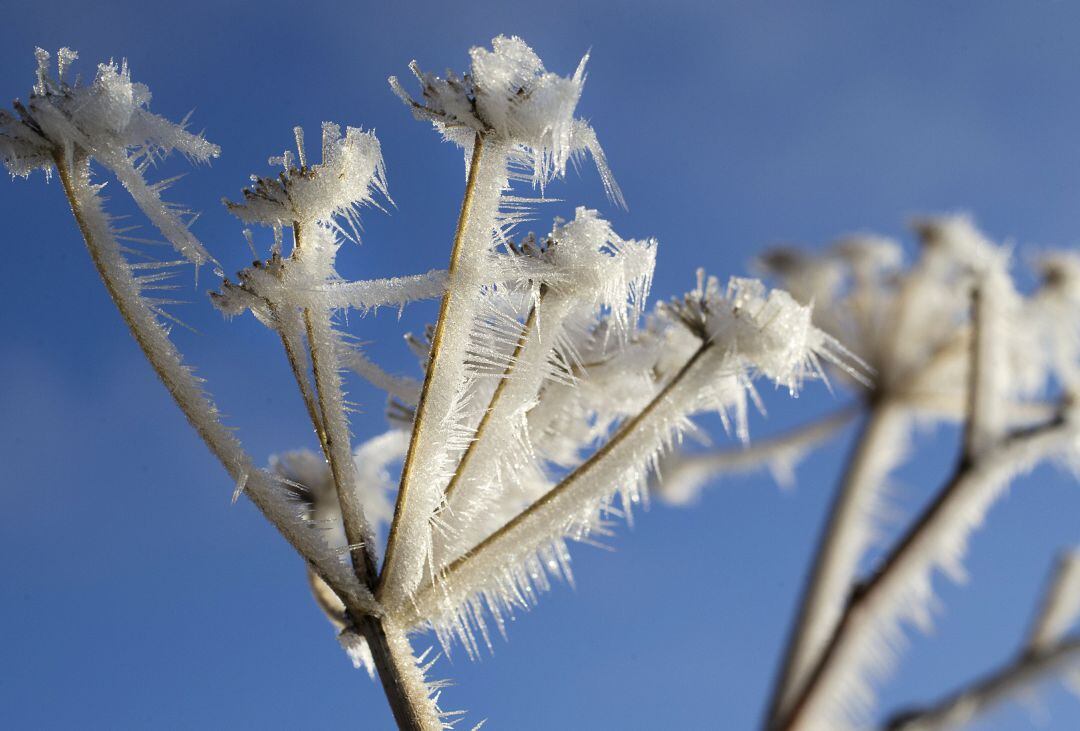 Las temperaturas volverán a bajar a partir del miércoles