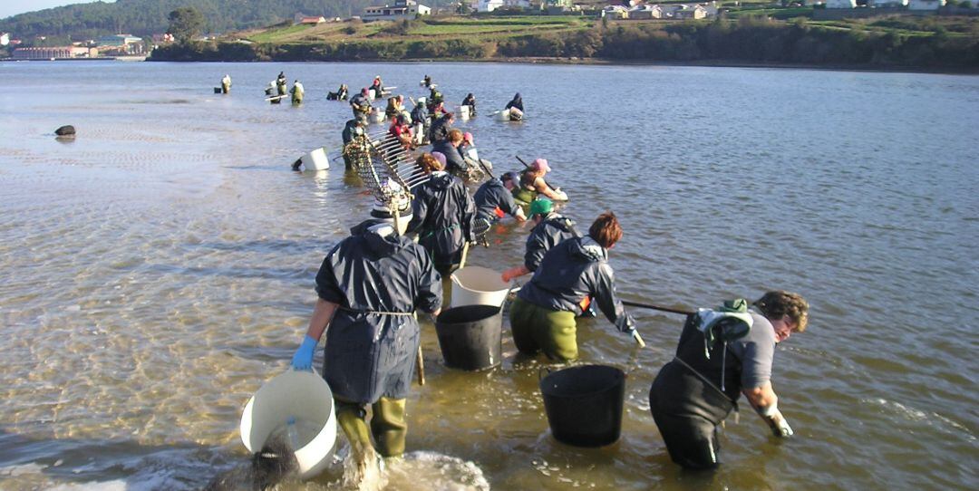 Mariscadoras faenando en la Ría de Pontevedra