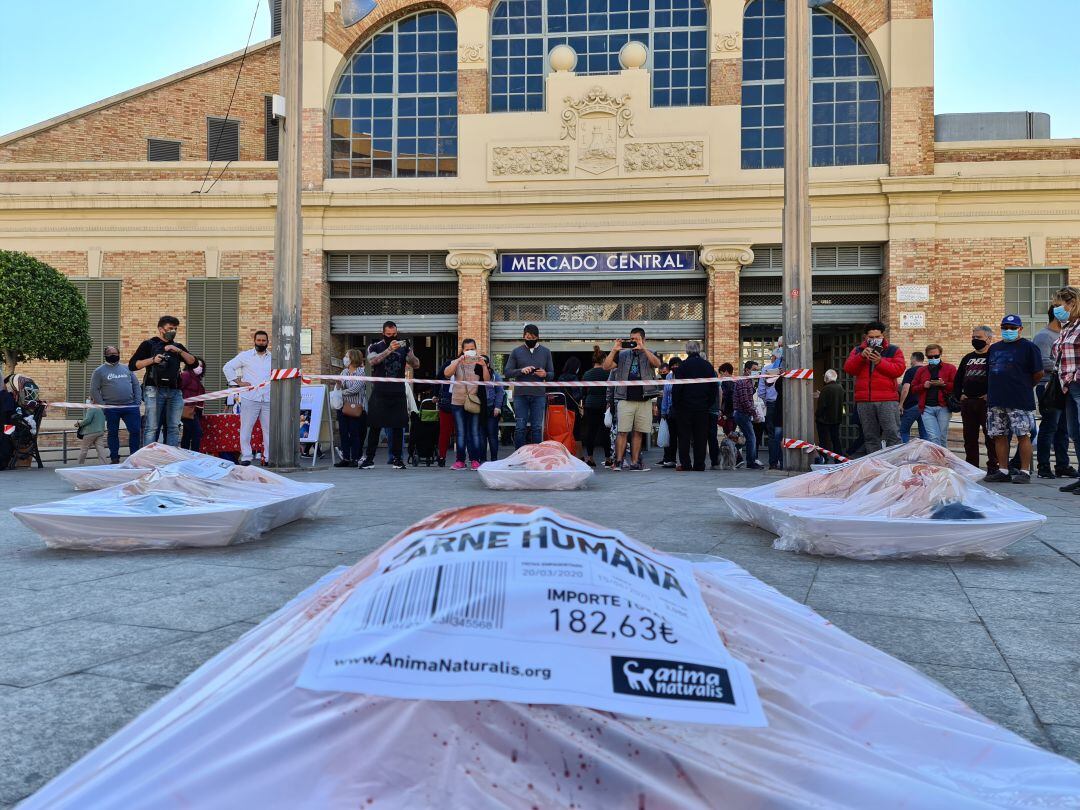 Imagen del acto de protesta realizado por la organización animalista en la Plaza 25 de mayo de Alicante