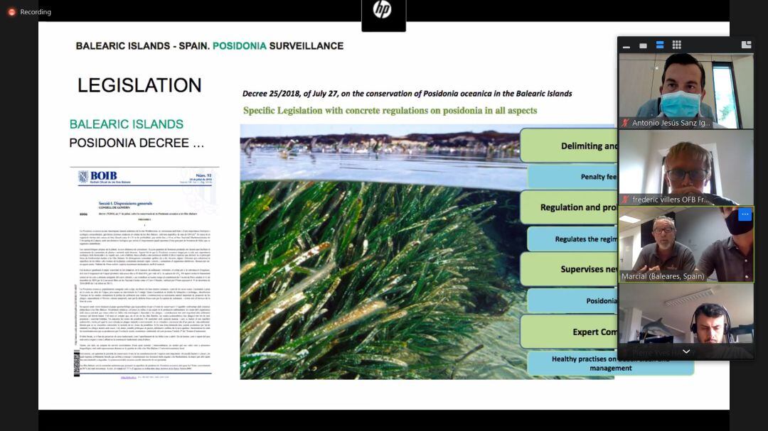 Save Posidonia Project