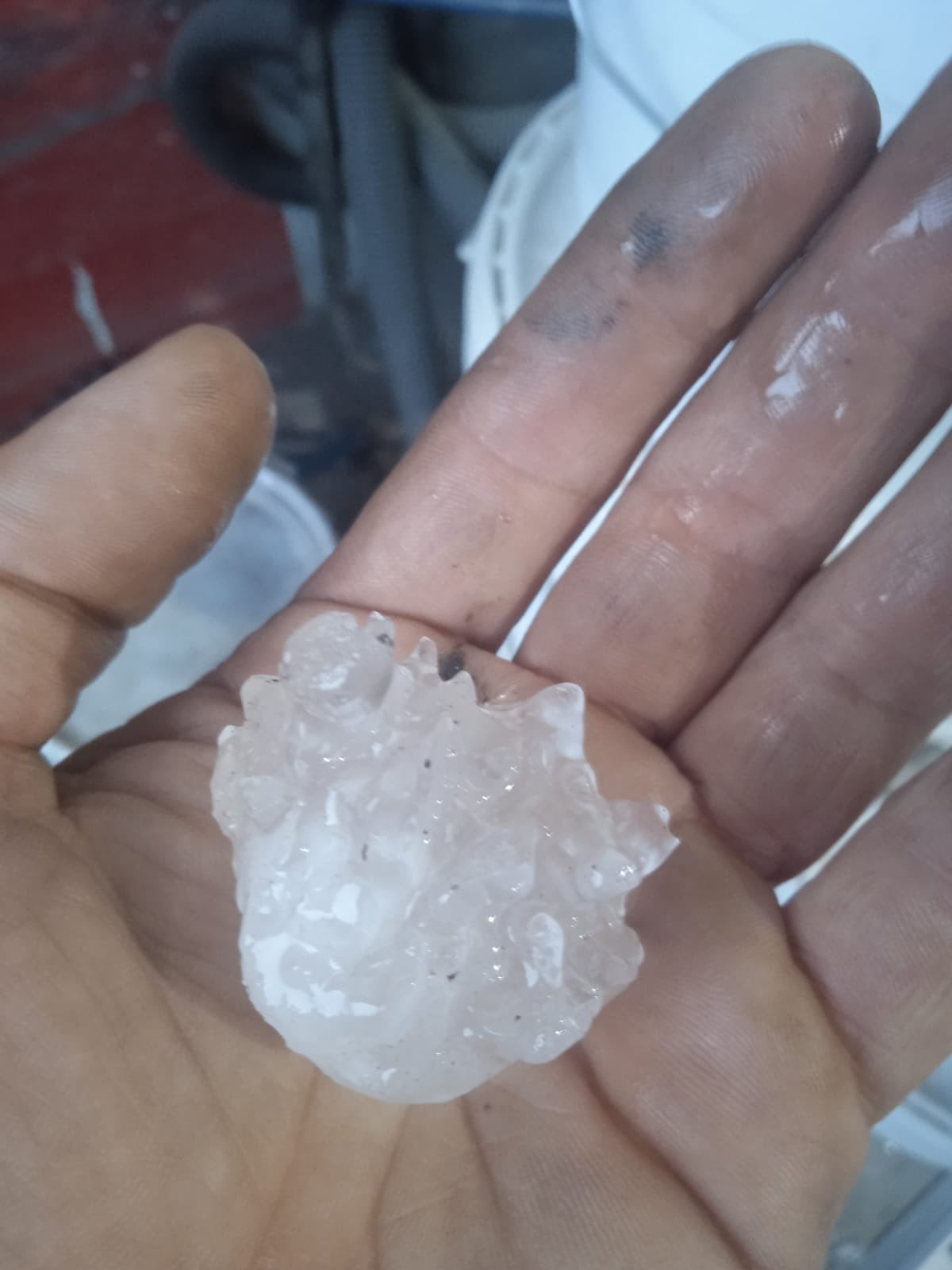 Pedrusco de granizo caído en Zumaia