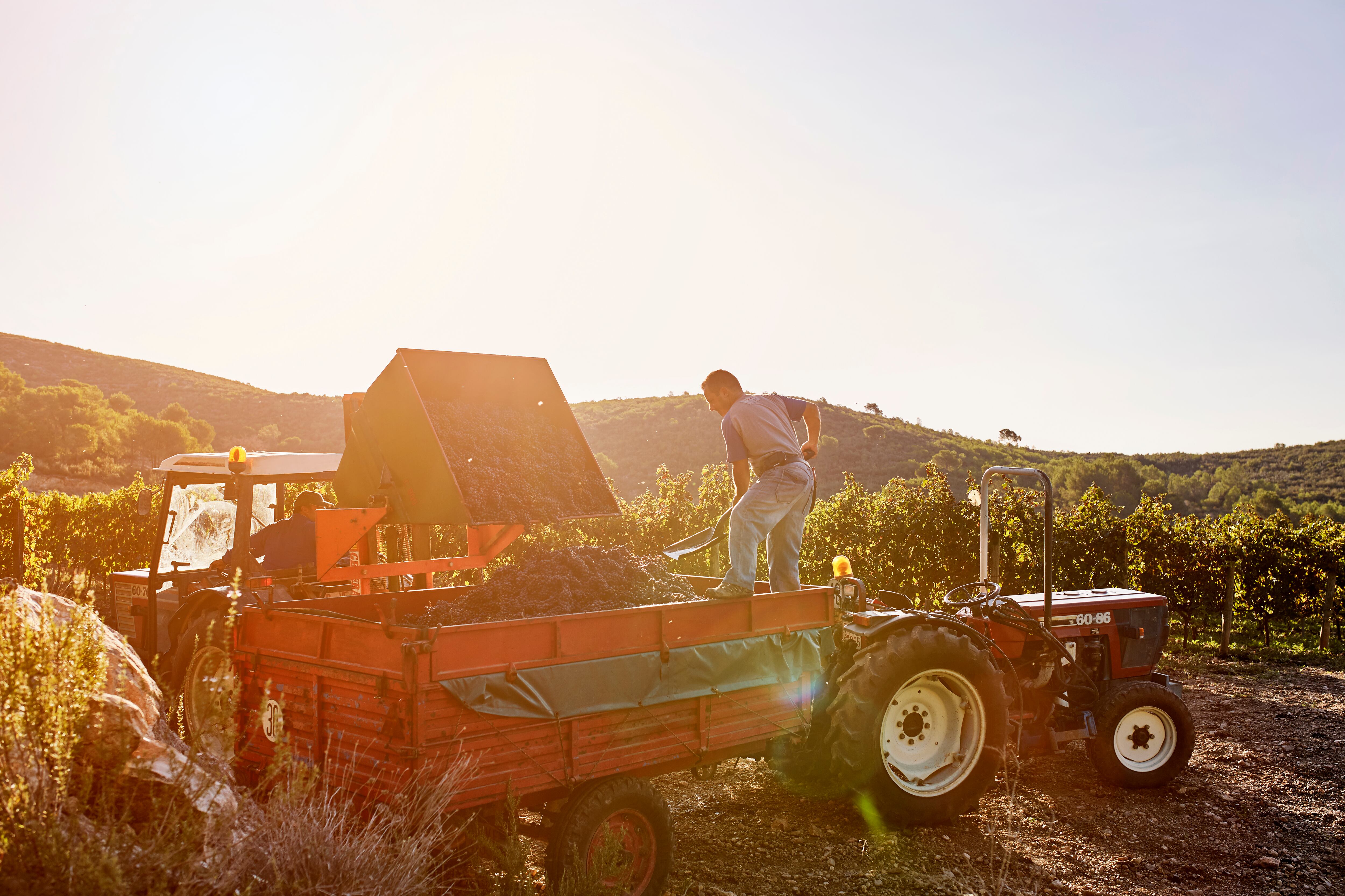 Agricultores y ganaderos eligen a sus representantes en los foros de decisión