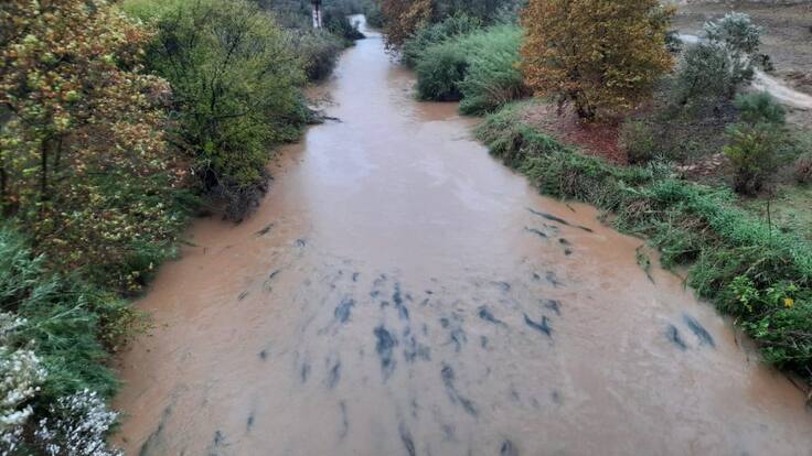 Entrevista La Ventana CV (05-11-2020)