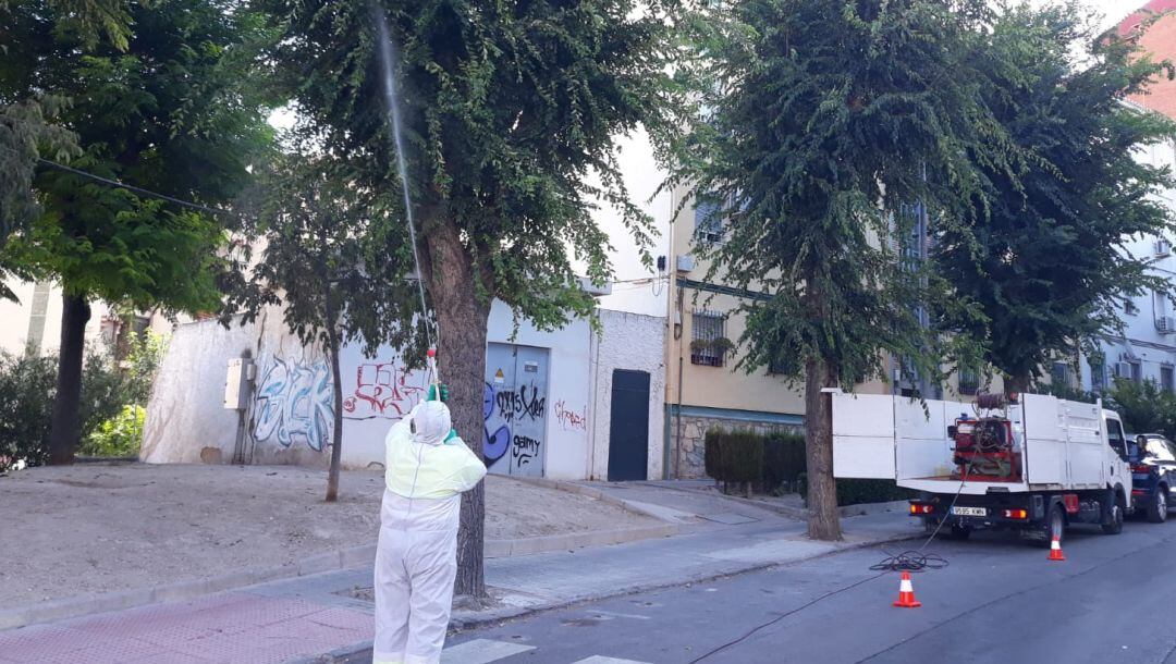 Un operario municipal trabaja con el tratamiento contra la galeruca en la calle Sagrado Corazón de Jesús.