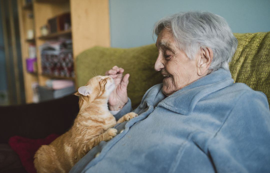 Una mujer mayor juega con su gato. 