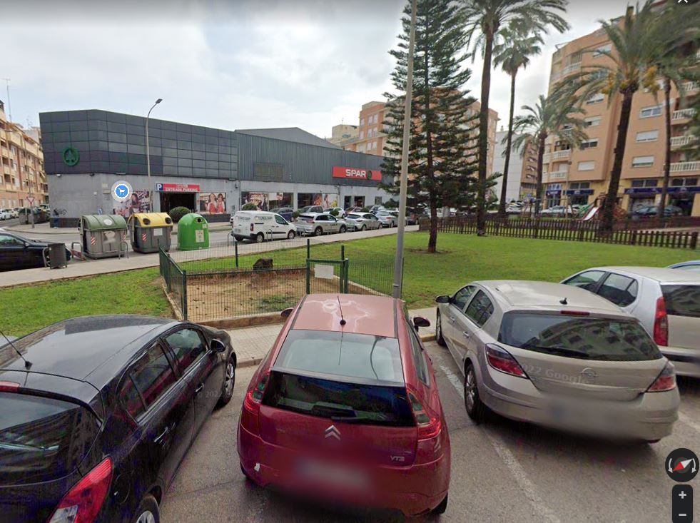 Pipi can en el parque Alqueria de les Flors de Gandia.