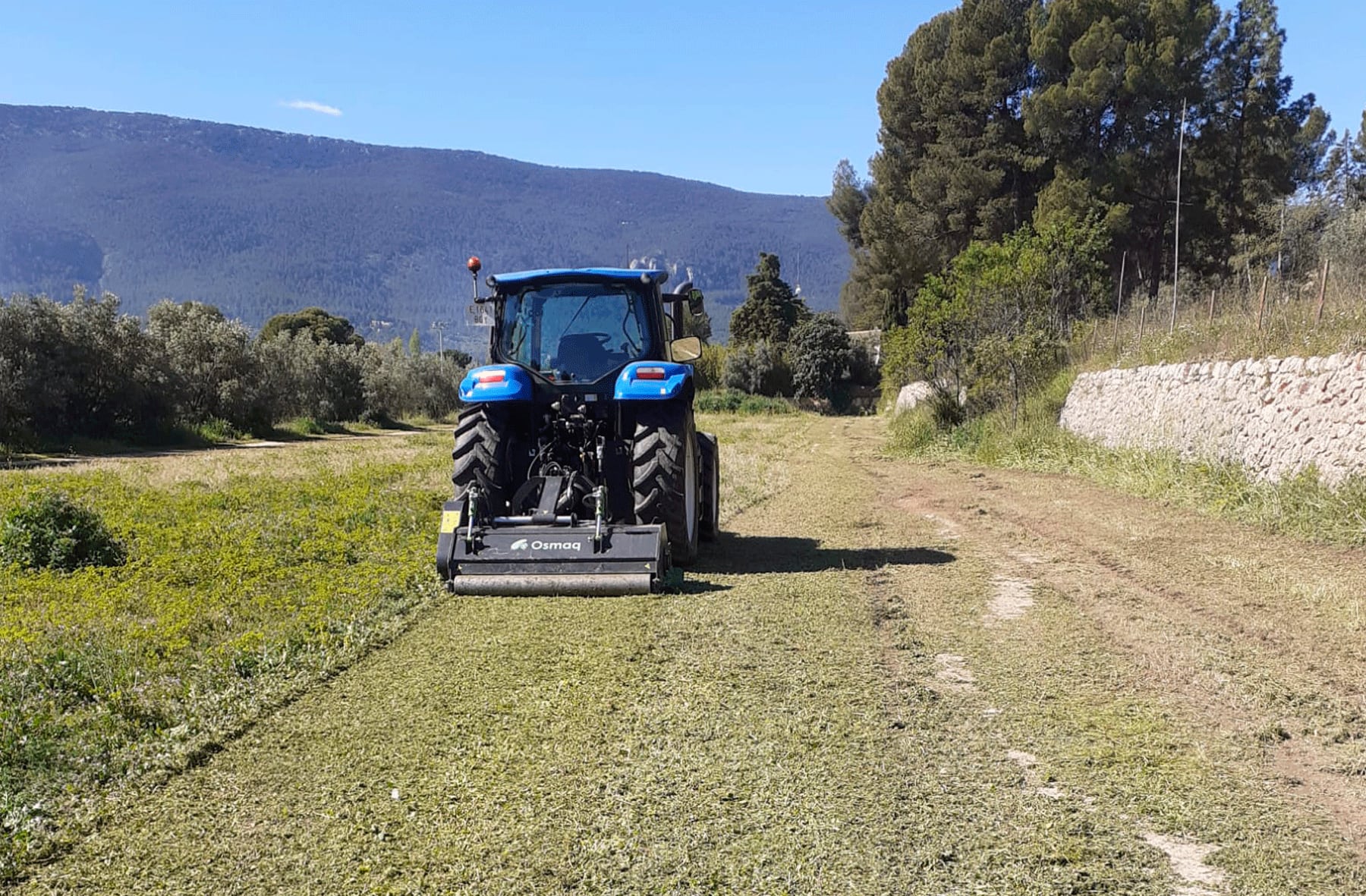 Imagen de uno de los solares en los que se ha actuado limpiándolo