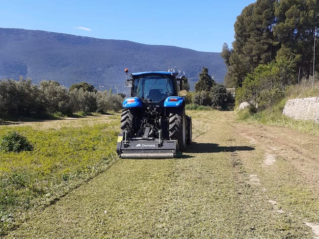 Imagen de uno de los solares en los que se ha actuado limpiándolo