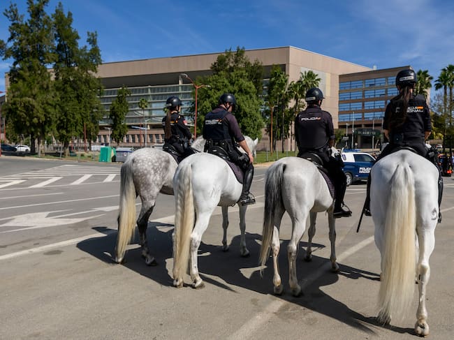 SEVILLA. 17/04/2026.- Un equipo de Caballería de la Policía Nacional, que tiene desplegados además otros grupos como el canino, Drones o de Subsuelo, en los alrededores del Estadio de La Cartuja, que acoge la final de la Copa del Rey. EFE/Raúl Caro