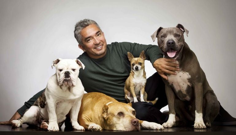 César Millán, &#039;El encantador de perros&#039;