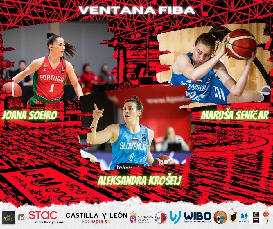 Amplía representación para el Embutidos Pajariel Bembibre en esta ventana Fiba