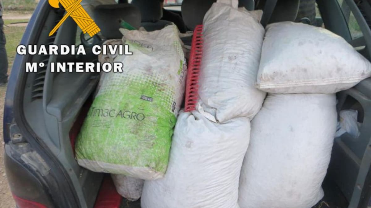 La Guardia Civil recupera 2.300 kilos de aceituna robada en la provincia