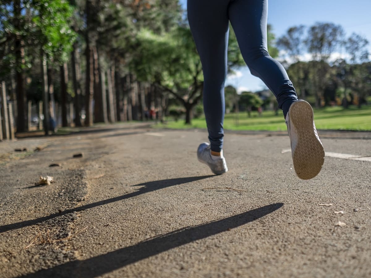 L'Alcúdia de Crespins: hacer deporte con conocimiento