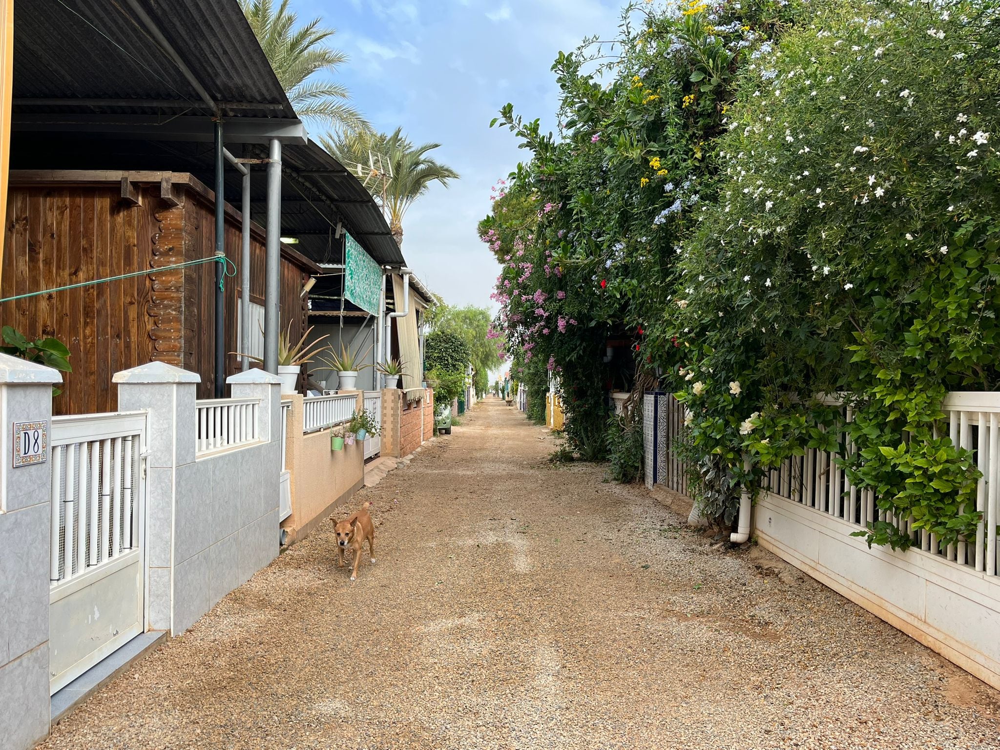 María y Pepe, testigos de la DANA y guardianes de una vida tranquila en Villas Caravaning
