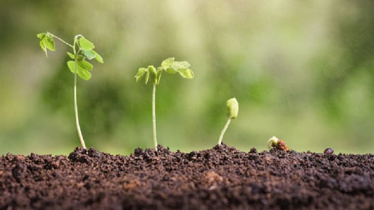 Entrevista Miguel Ángel Toca, microrreserva de cultivos Campoo de Yuso