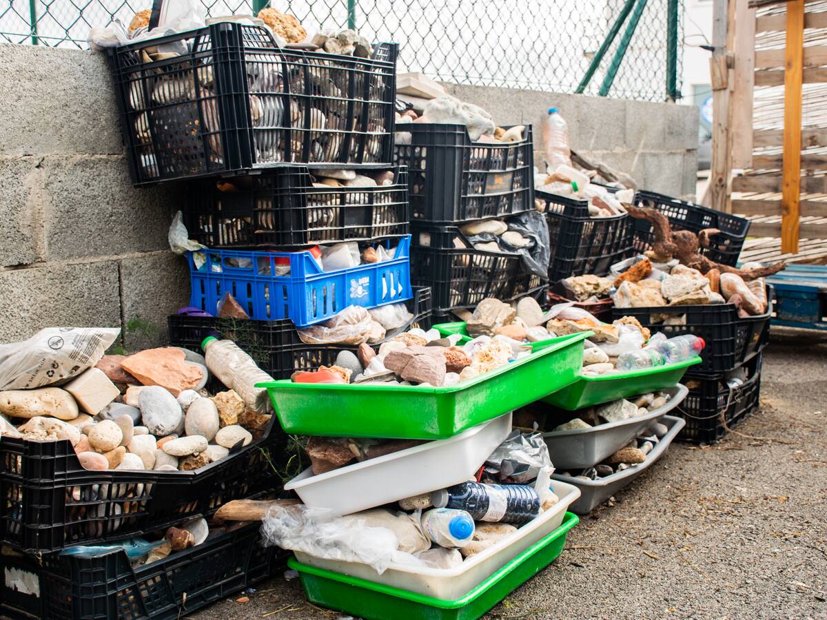 Prop d'una tona de material geològic requisat a l'aeroport de Menorca torna al seu hàbitat natural