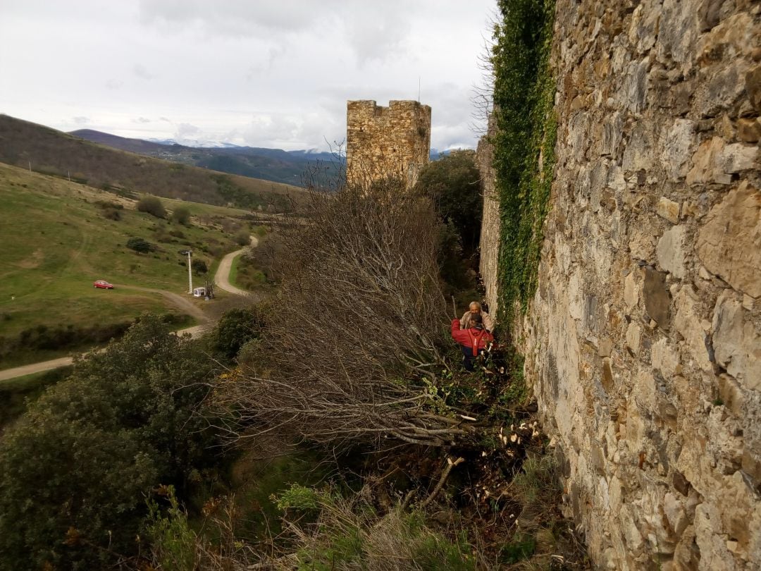 Jornada de limpieza en Cornatel