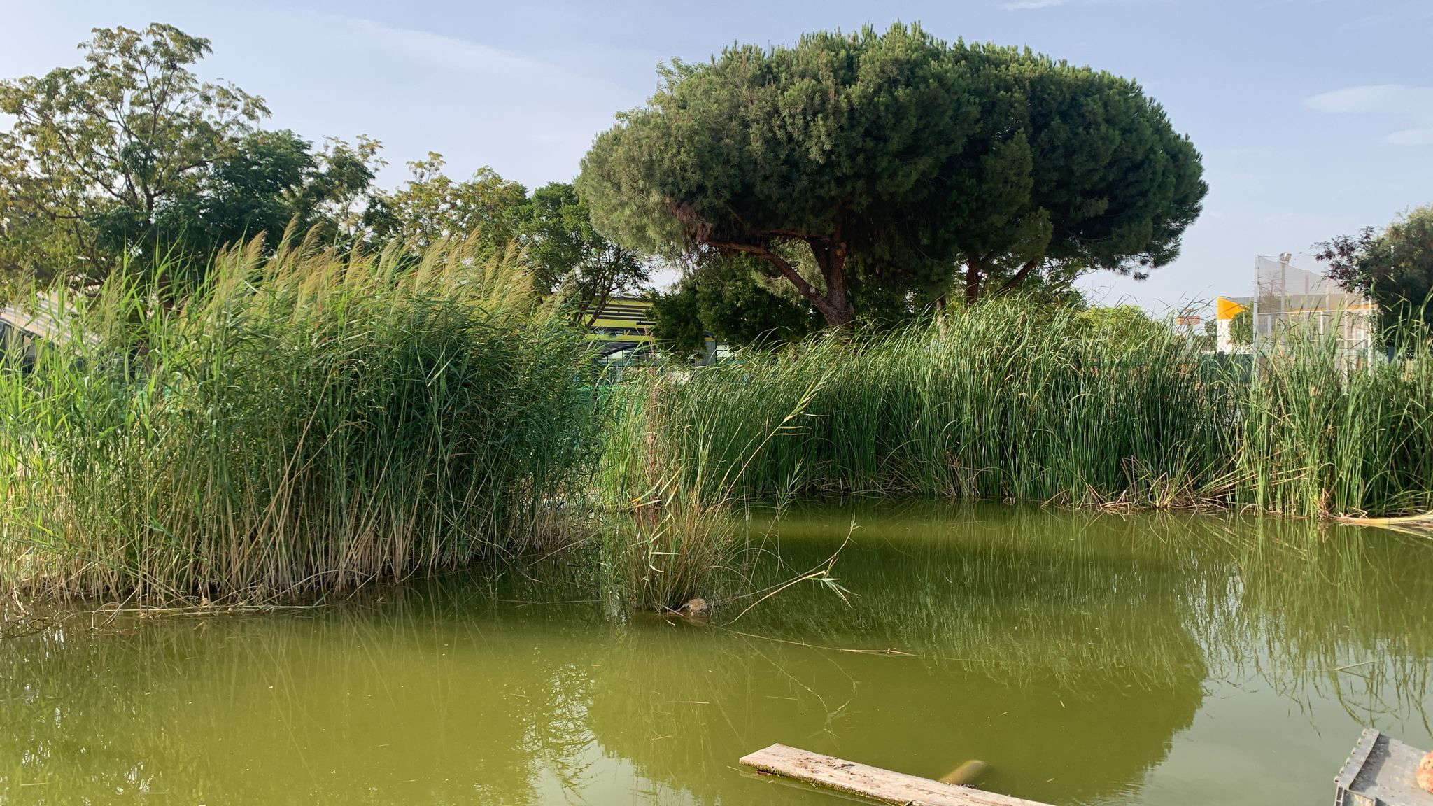 Imagen del estanque de Torreblanca