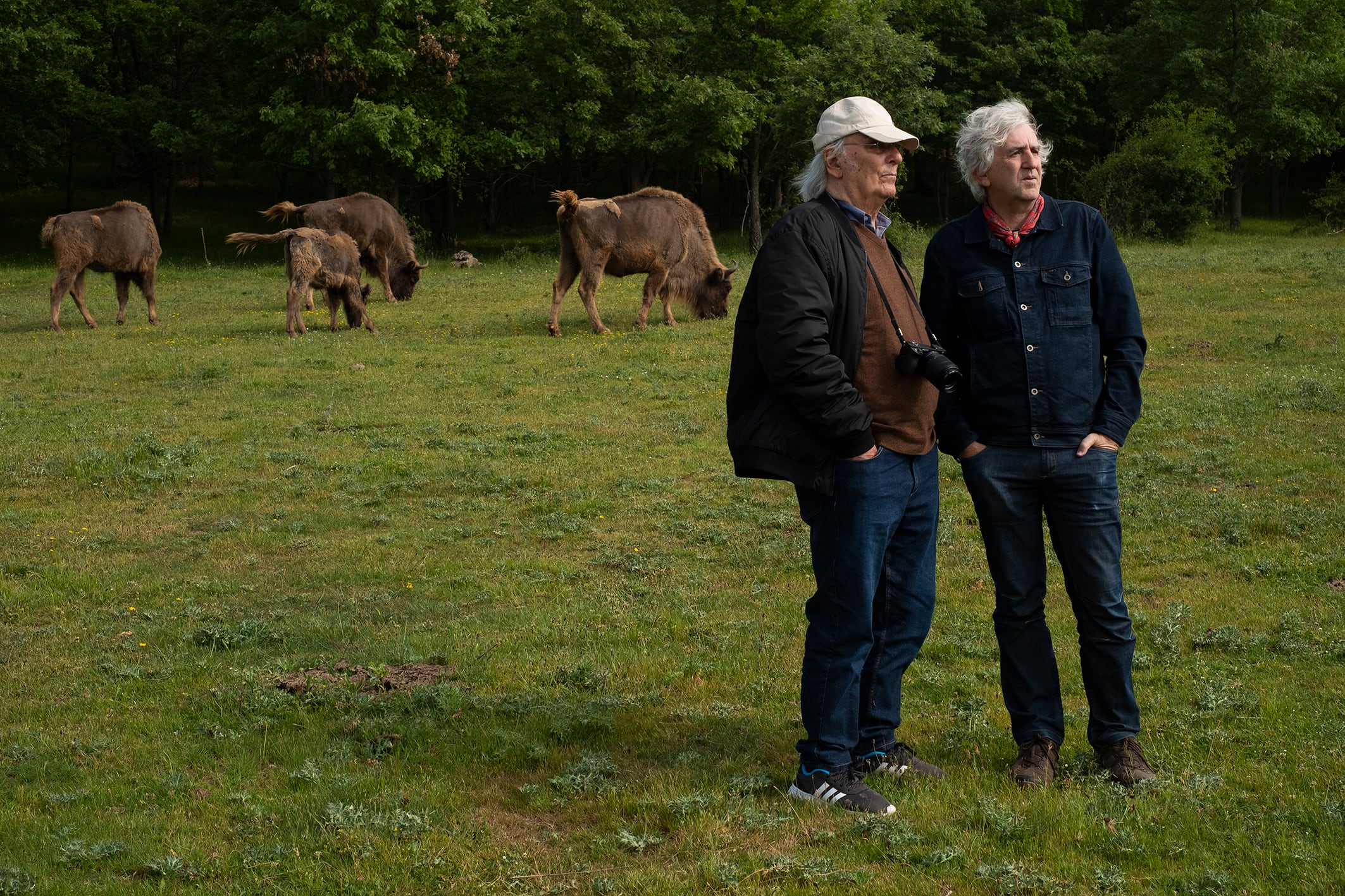 Carlos Saura y Juan Luis Arsuaga, en Paleolítico Vivo