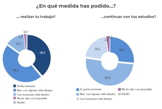 El estudio &#039;De puertas adentro y de pantallas afuera. Jóvenes en confinamiento&#039;, elaborado por el Centro de Investigaciones Reina Sofía, muestra las dificultades que han tenido muchos jóvenes para proseguir con sus estudios.