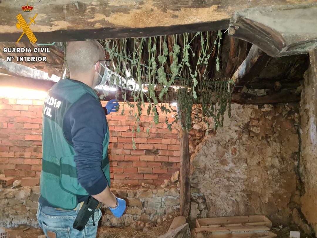 Parte de la droga incautada