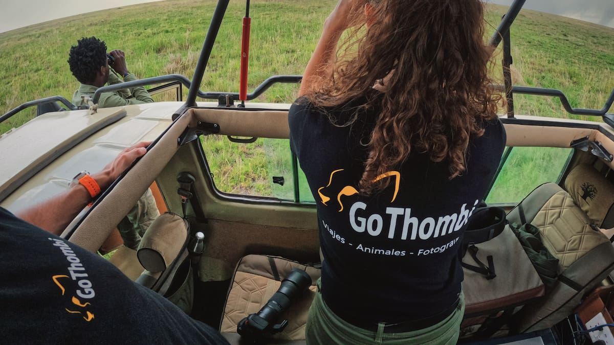 Antes de un safari información y buenos guías