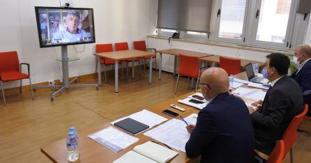 Imagen de la reunión virtual