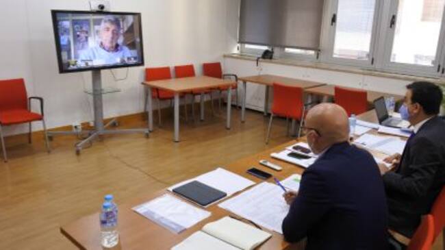 Imagen de la reunión virtual