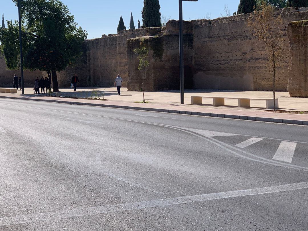 Avenida del Marrubial, con su nuevo carril bici