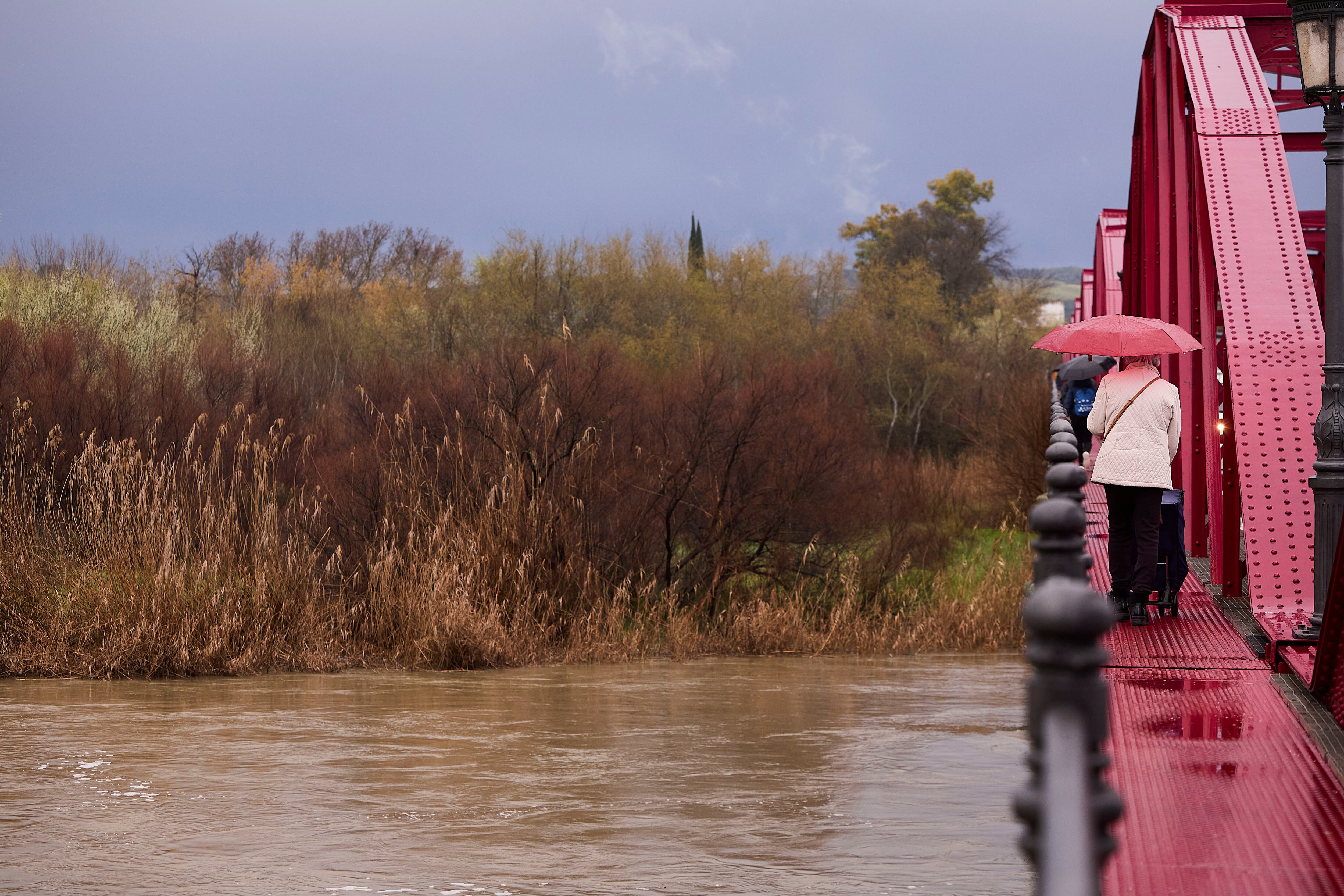 El río Tajo supera el umbral naranja de alerta por el incremento de caudal en Talavera
