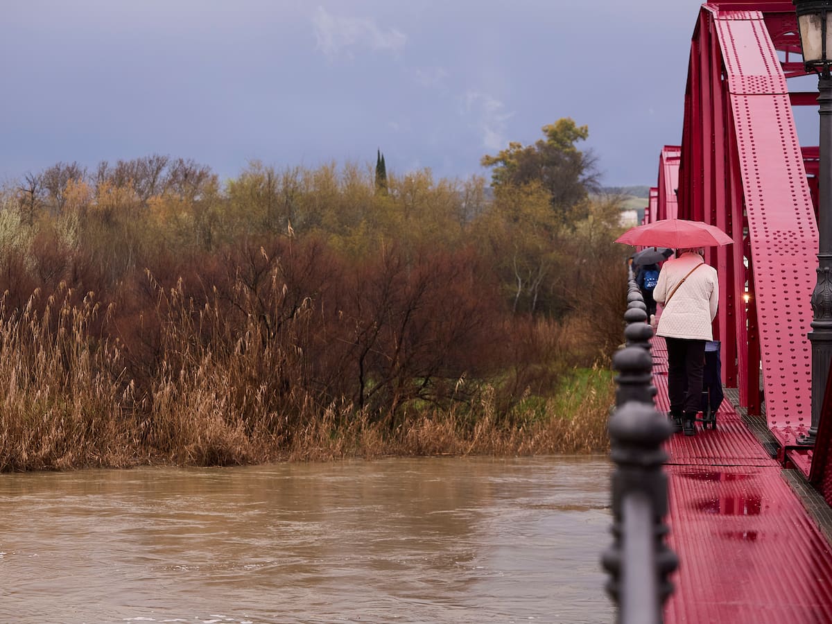 El río Tajo supera el umbral naranja de alerta por el incremento de caudal en Talavera