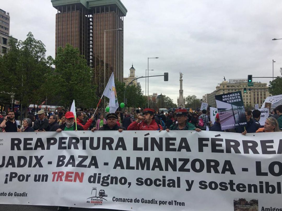 Guadix presente en la manifestación de Madrid