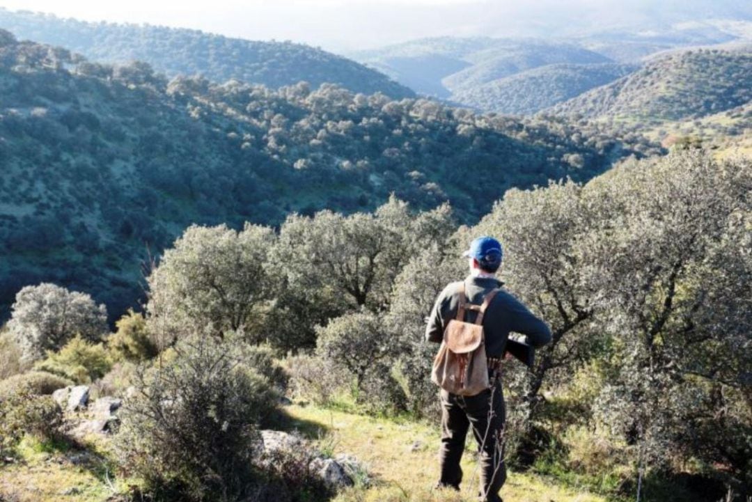 Vista de cazador en el monte