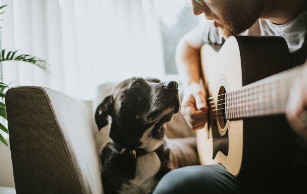 Una persona toca la guitarra mientras un perro lo mira