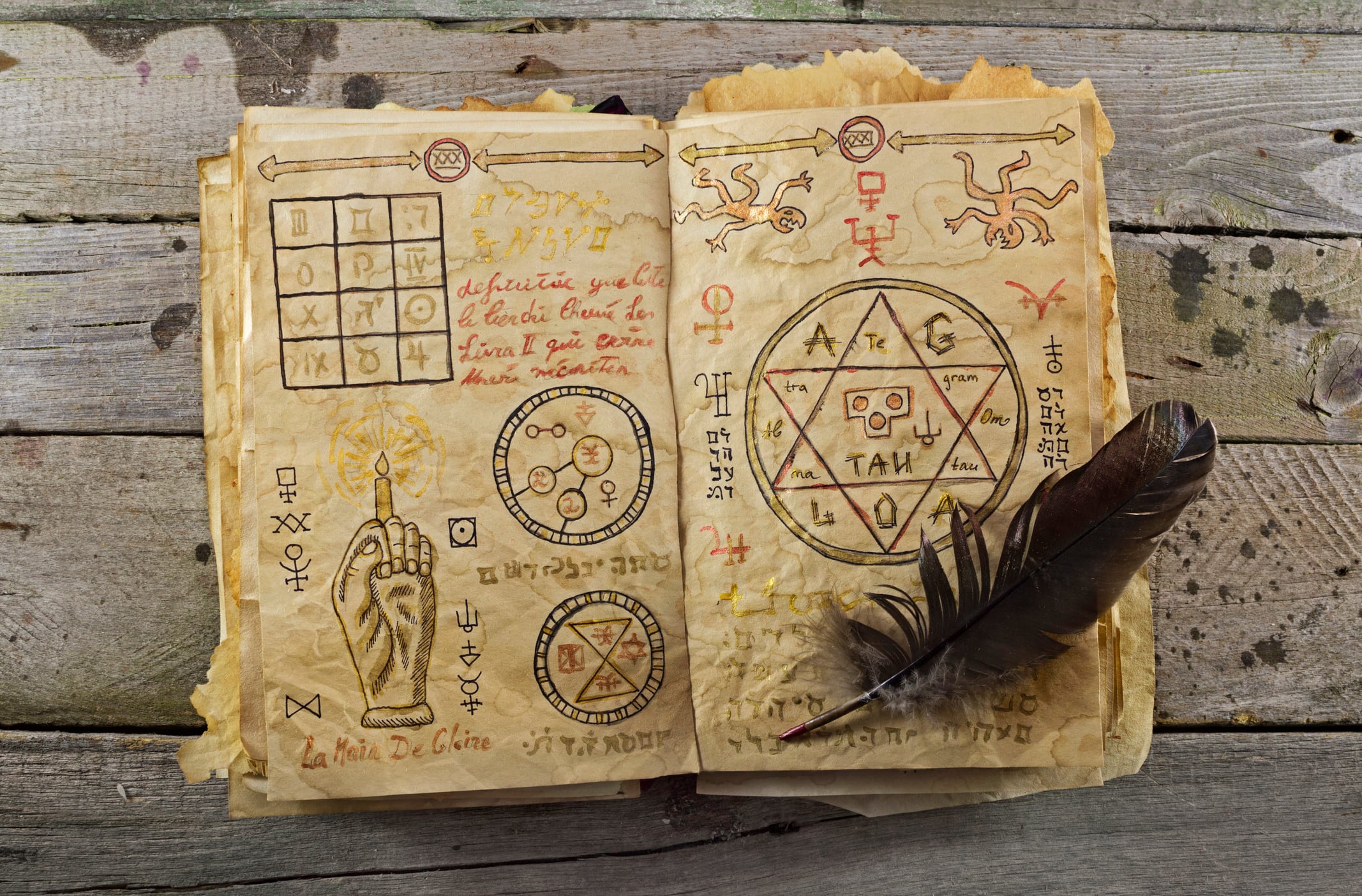 Halloween still life with magic book and quill on wooden planks 2