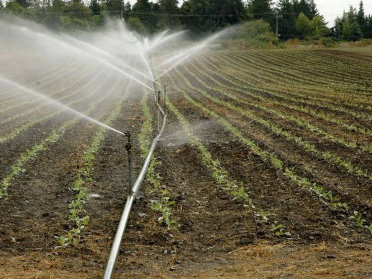 El Campo en la SER: Regadíos o seguros agrarios