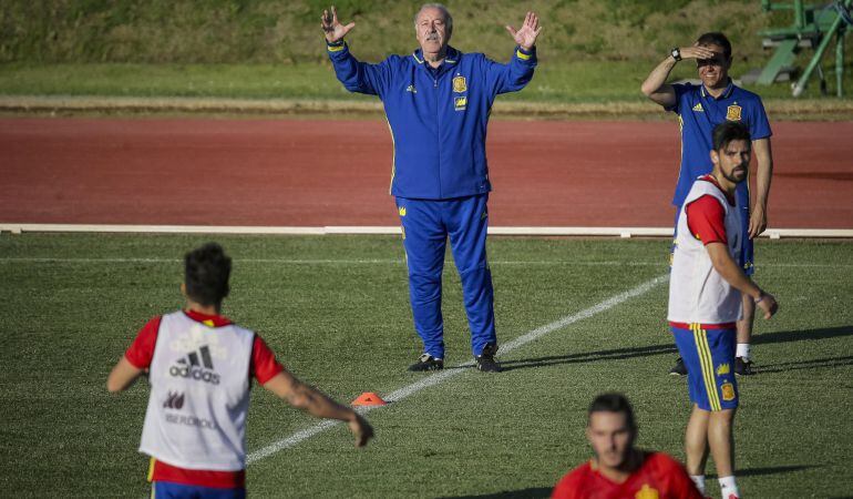 El seleccionador español, Vicente Del Bosque, durante el entrenamiento de la selección española de fútbol en la Ciudad del Fútbol de Las Rozas, de cara al partido amistoso contra Georgia que disputarán en el coliseum Alfonso Pérez de Getafe.