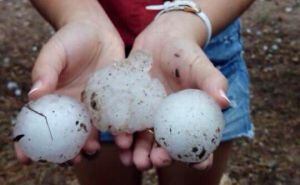 Tamaño del pedrisco en algunas localidades de la provincia