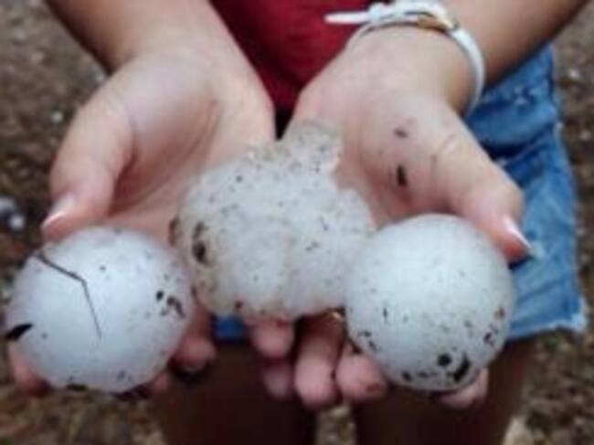 Tamaño del pedrisco en algunas localidades de la provincia