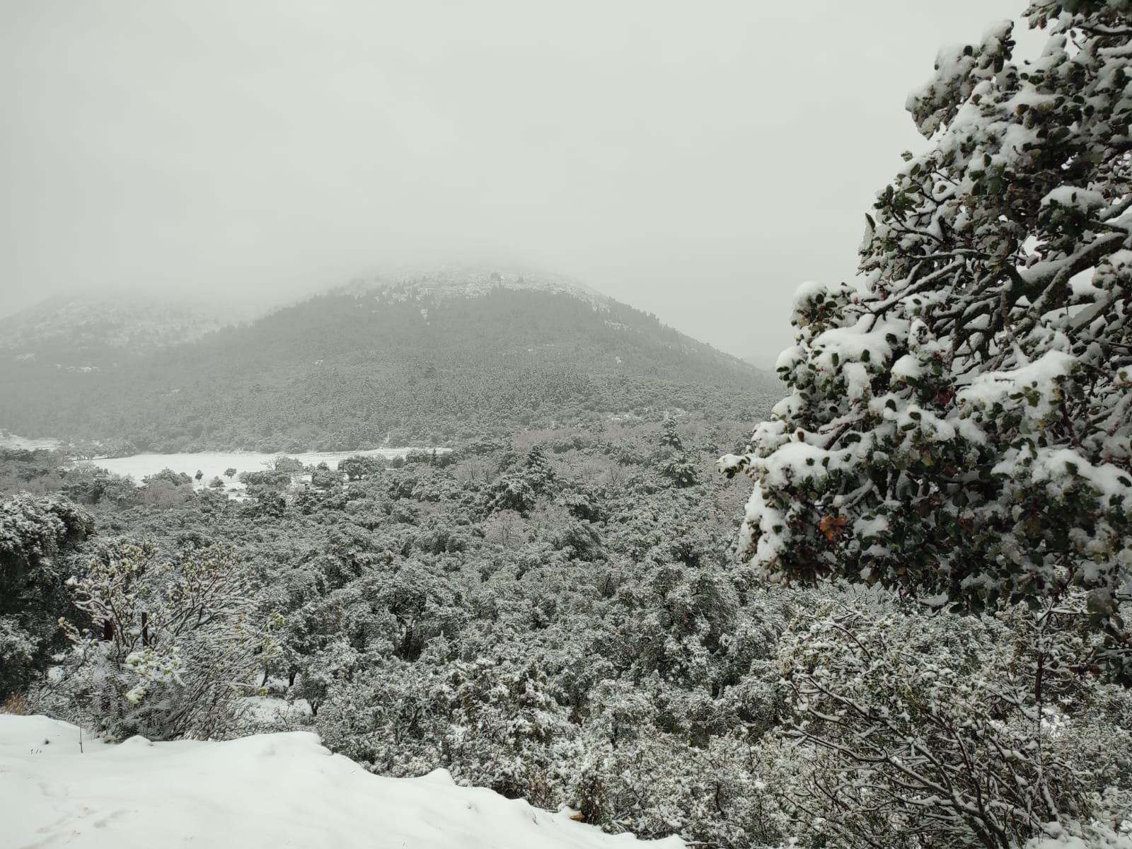 El término municipal de Parauta ha amanecido cubierto por la nieve este lunes