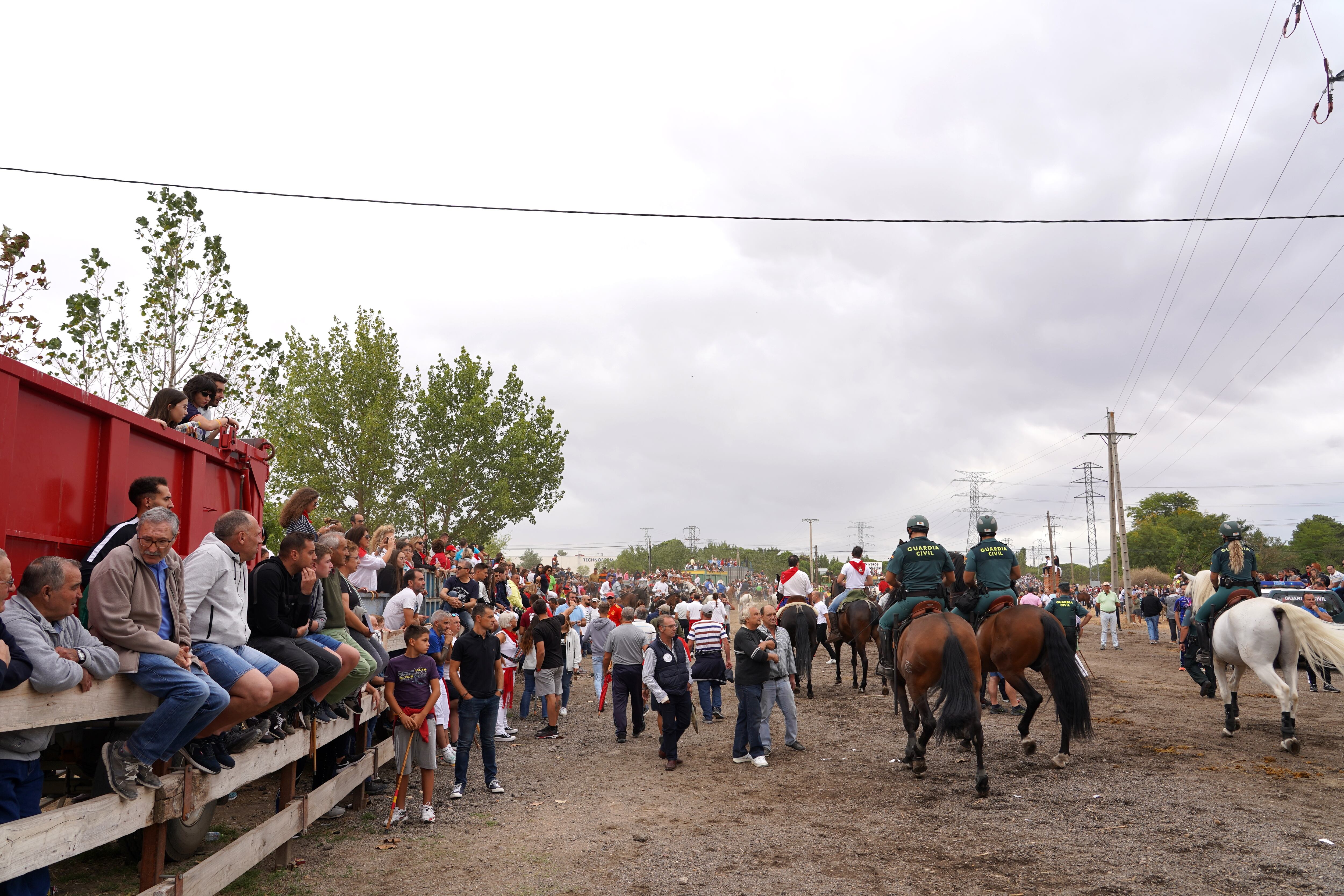 Encierro mixto programado por el Ayuntamiento de Tordesillas para sustituir el Toro de la Vega.