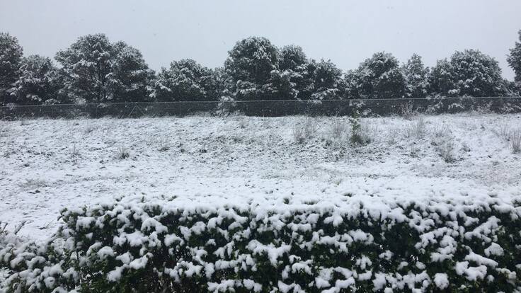 Entrevista con el viticultor David Palacios, presidente del Consejo Regulador del vino de la de la D.O. Navarra (31/03/2020)