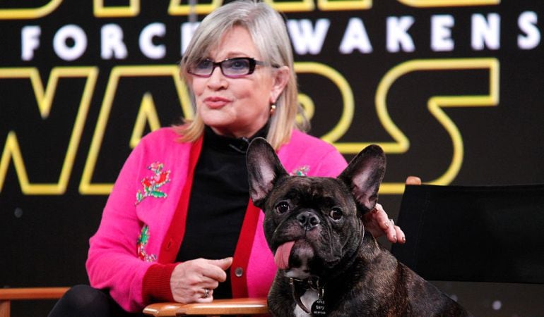 Carrie Fisher junto a su perro Gary durante la promoción de Star Wars: Episodio VII.