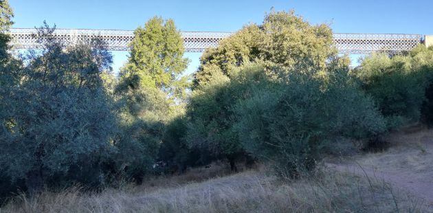 Foto del puente de hierro, en la ruta del arroyo Pedroche.