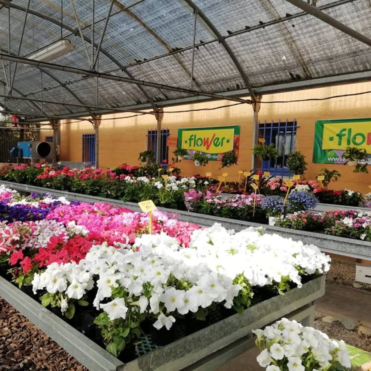 El Remos Garden inicia una nueva temporada