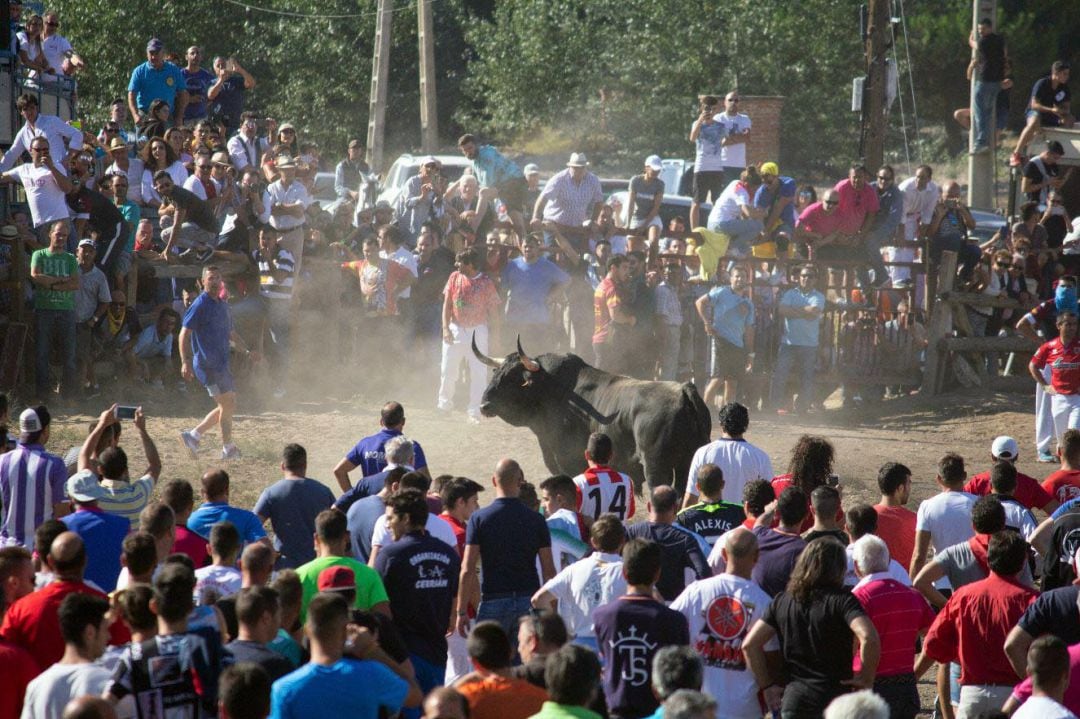 Una edición anterior del festejo del Toro de la Vega