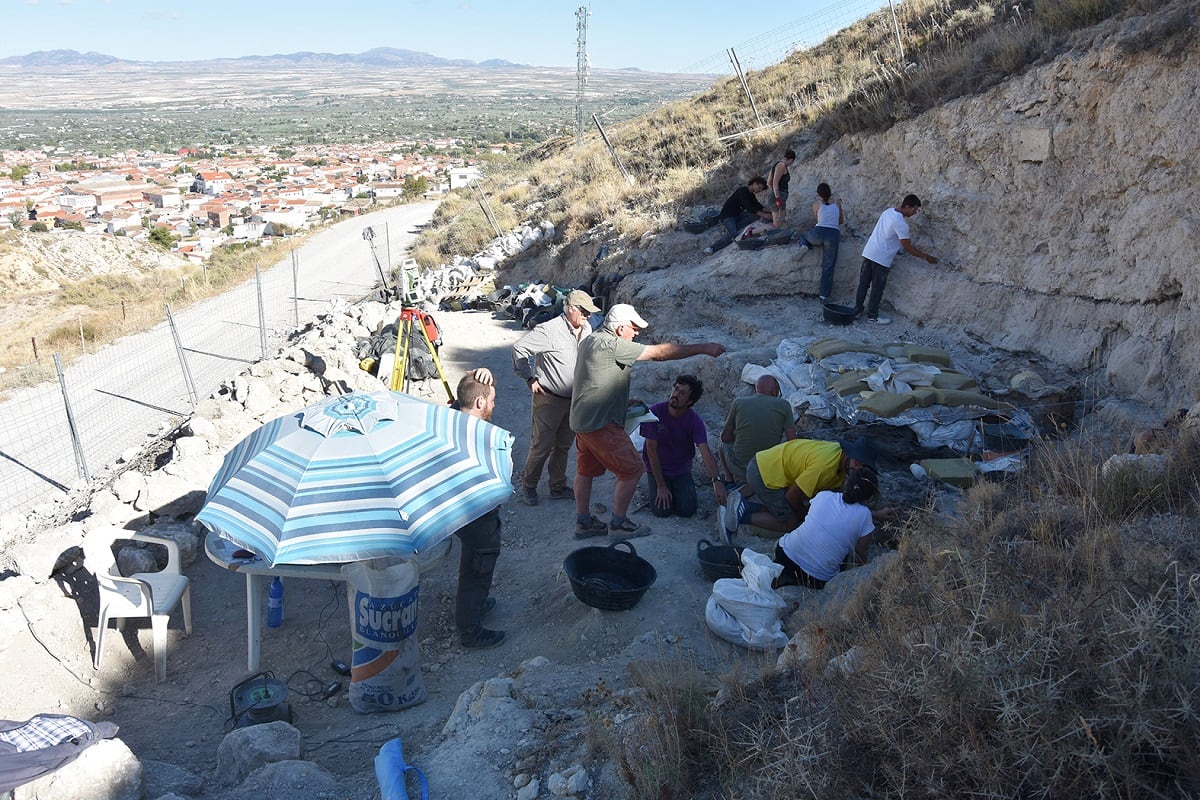 Yacimiento Paleontológico Baza-1 en la Cuesta del Francés