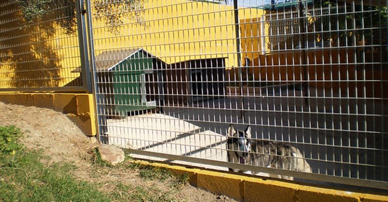 Instalaciones de Maikan Canino en Talamanca del Jarama